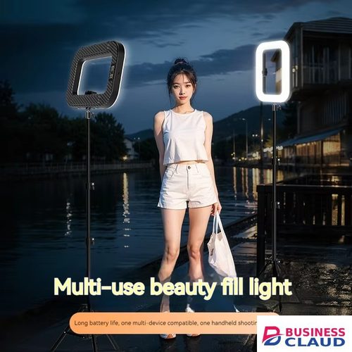 Portable 2025 Handheld LED Ring Light Rechargeable Portable Fill Light for Mobile Phone Live Broadcast Photography Desktop Rabbit Selfie in Cables-led-light-flashlight