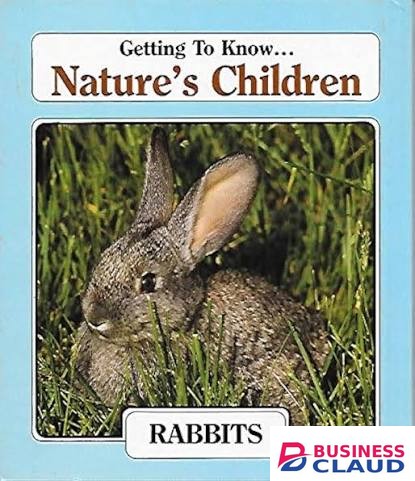 Getting to Know Nature's Children: Deer/Rabbits