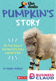 Pumpkin's Story: The True Story of how One Little Horse Learned to Run book by Aubre Andrus