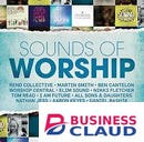 MUSIC INTEGRITY CD - SOUNDS OF WORSHIP ELIM SOUND