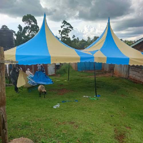 Launch Party Tent 100-People – Large Event Shelter