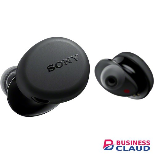 Sony WF-XB700 True Wireless In-Ear Headphones (Blue, Black)