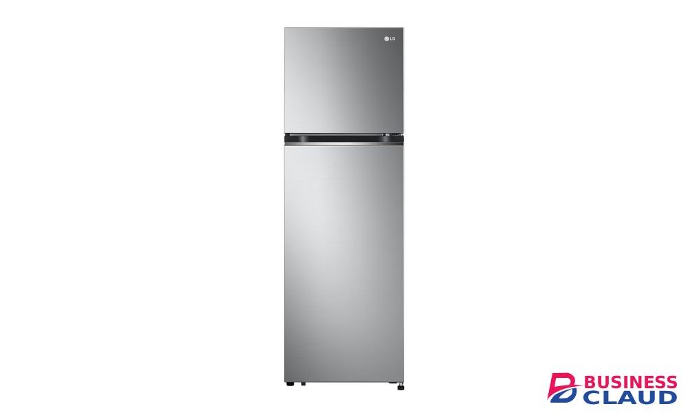 LG GV-B262PLGB 266L Fridge