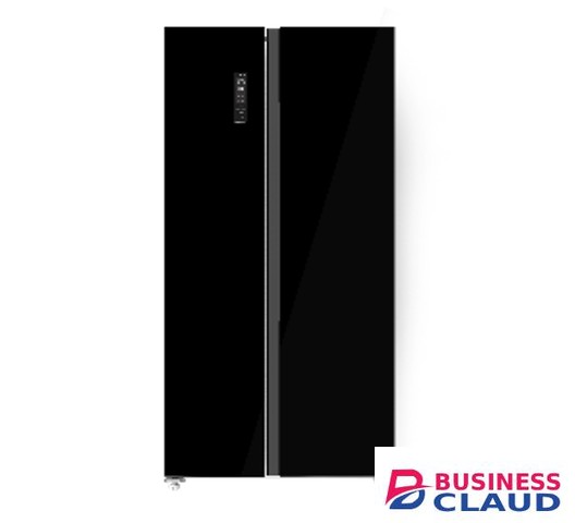 Von VARZ-20NHK 429L Side by Side Fridge