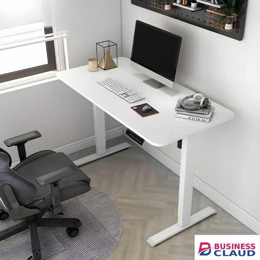 Height Adjustable Electric Desk.