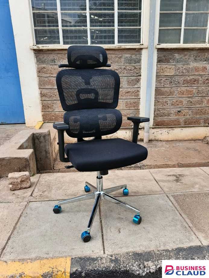 ErgoMesh Office Chairs