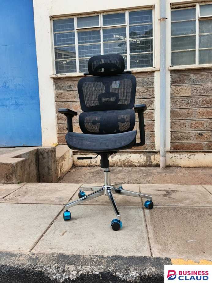 Executive ErgoMesh Office Chairs