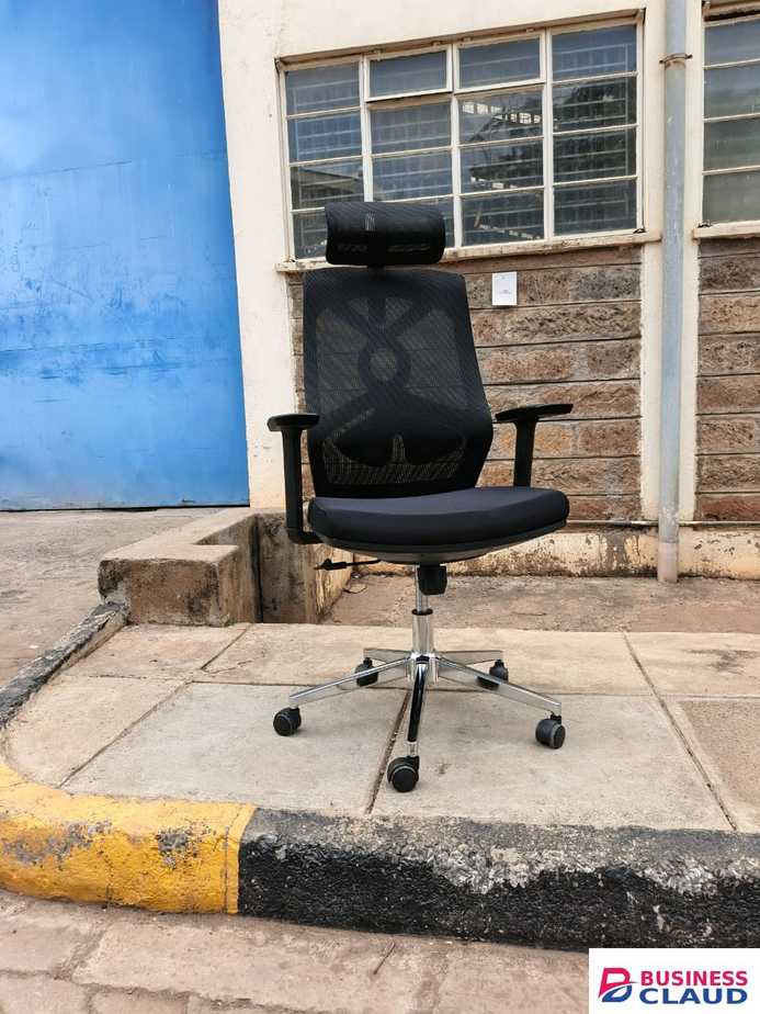 ErgoMesh Pro office chair