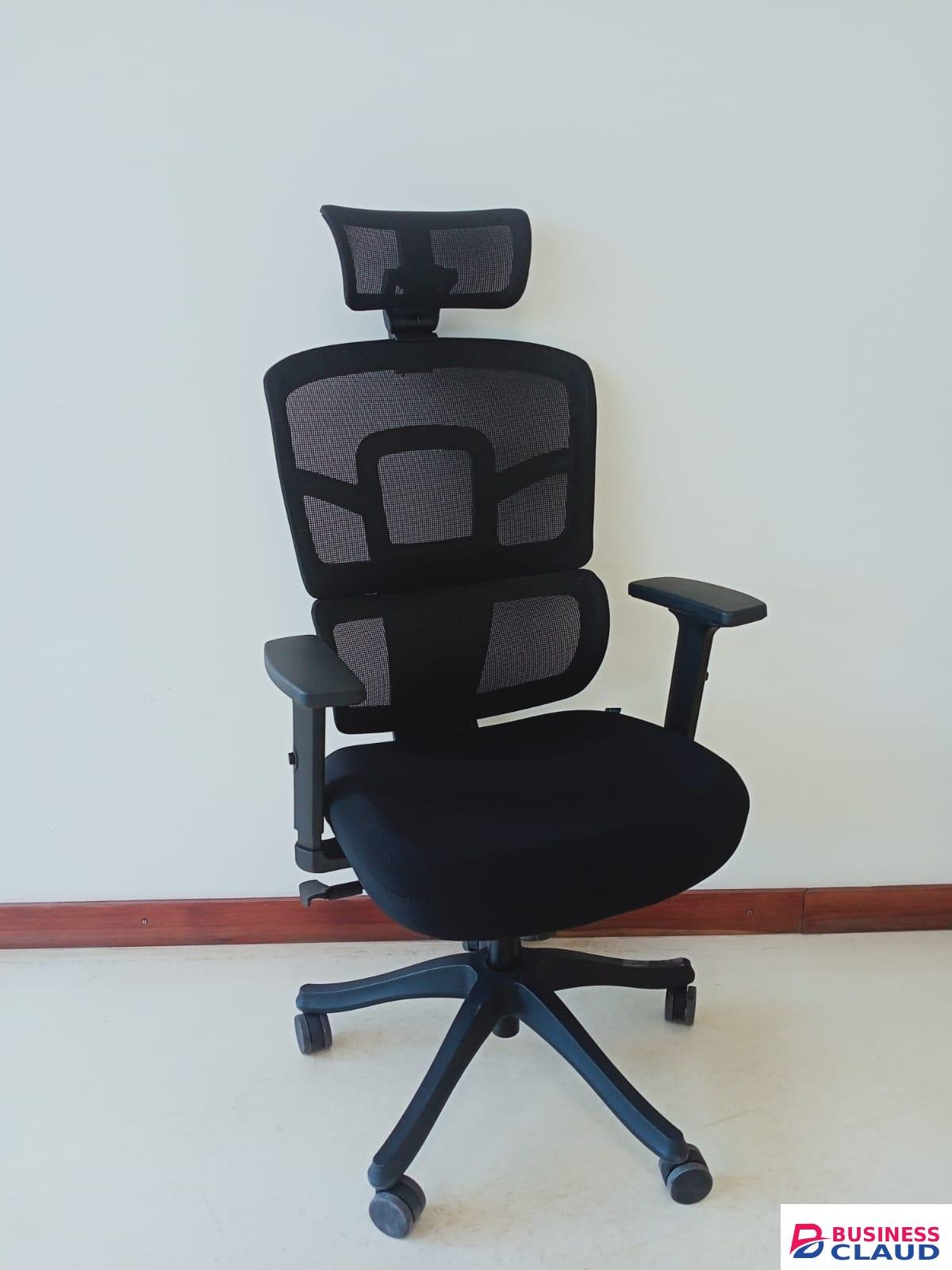 Ergonomic Chair