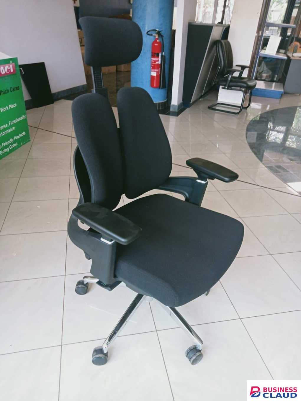 Ergonomic Fabric Office Chair