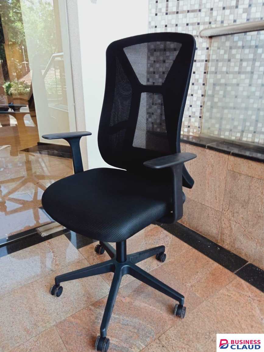 Orthopedic Mesh Chair