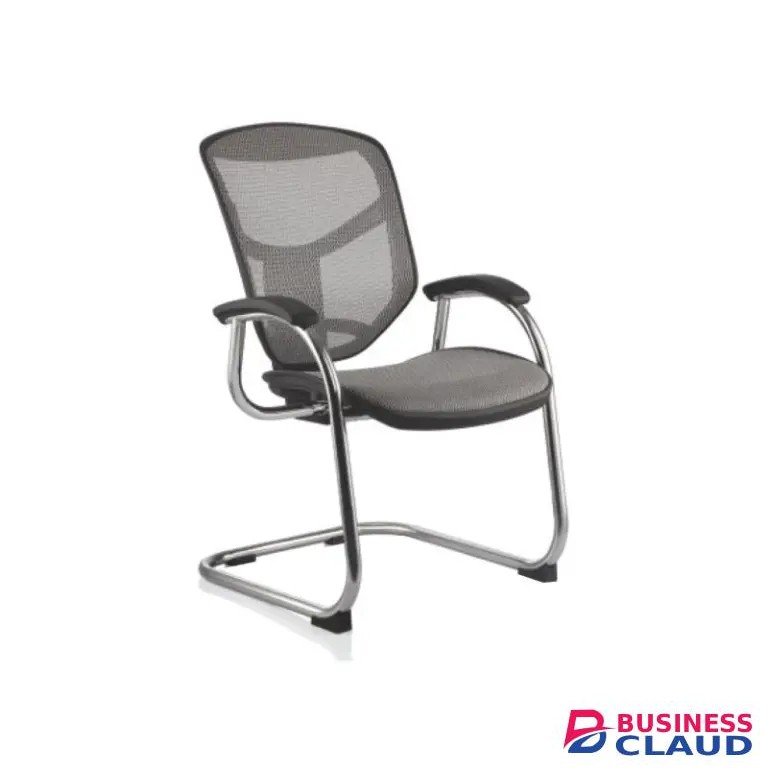 Ejsg-Lam-2 Ergohuman Vis Chair (Eg)
