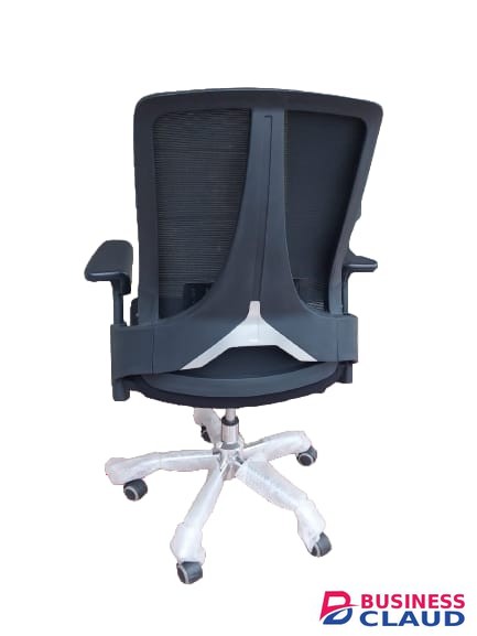 Swivel LowBack Executive Mesh Chair