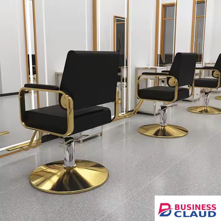 Barber Shop/Salon Chairs Special Hairdressing Chairs