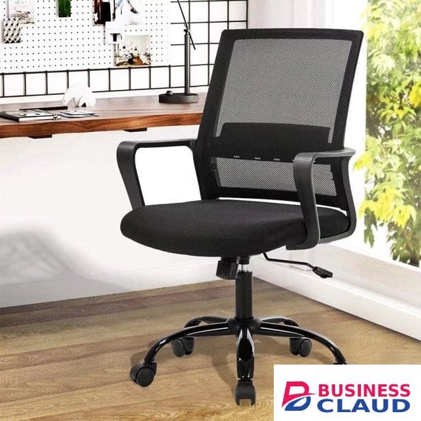 Mid-back Ergonomic Mesh