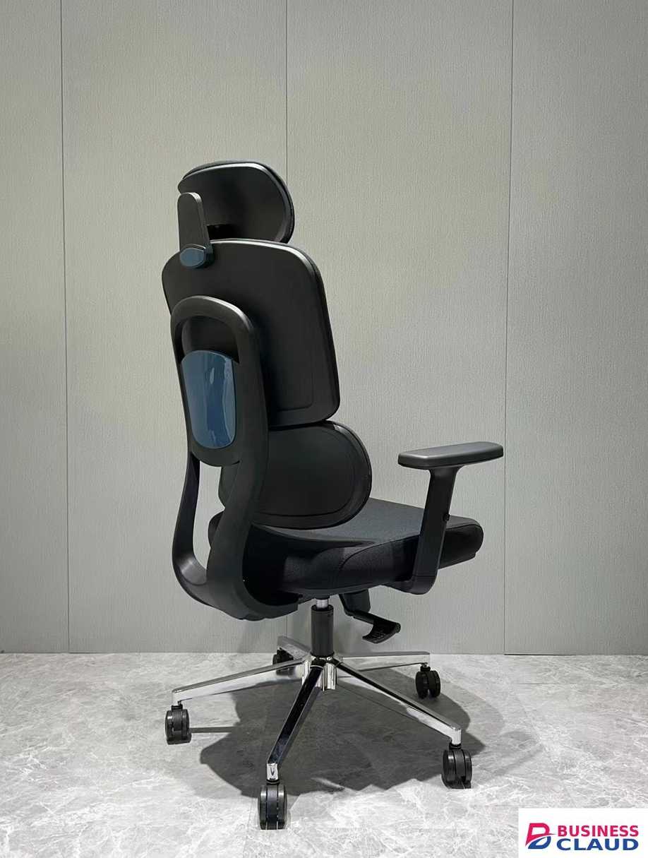 Executive Ergonomic High-Back Office Chair
