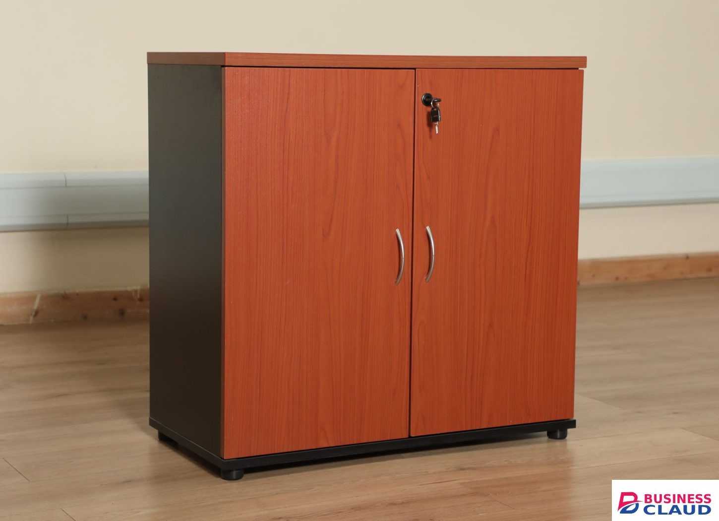 Filing Storage Cabinet