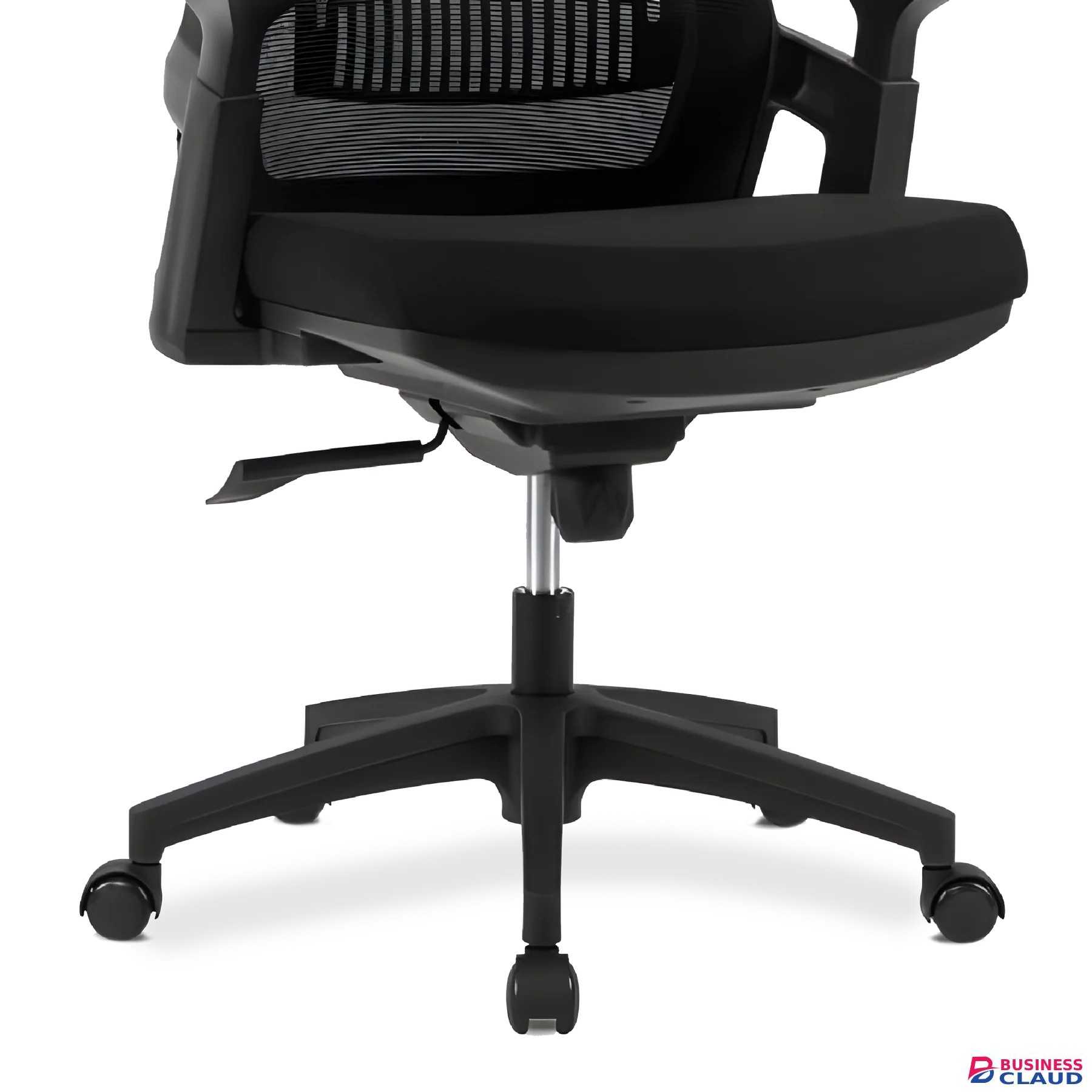 Lama Ergonomic Office Chair