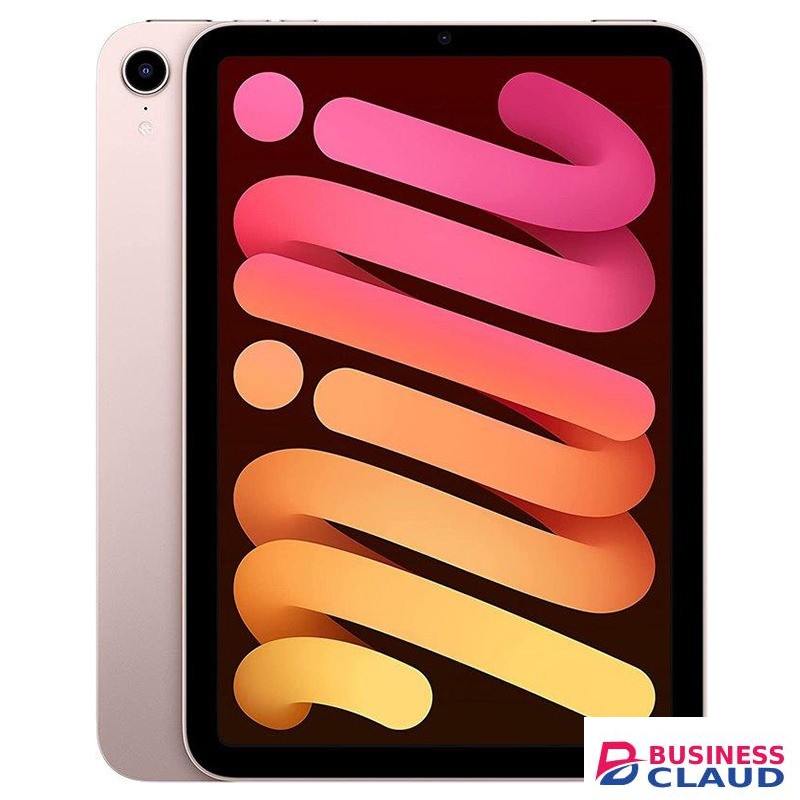 iPad mini 6