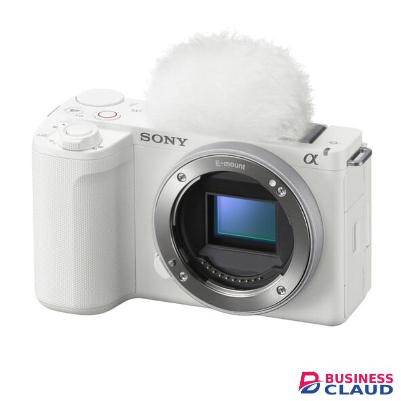 Sony ZV