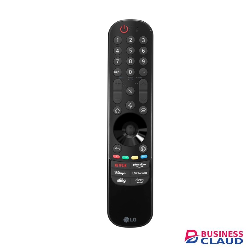 LG OLED evo C4PUA 4K TV (2024)