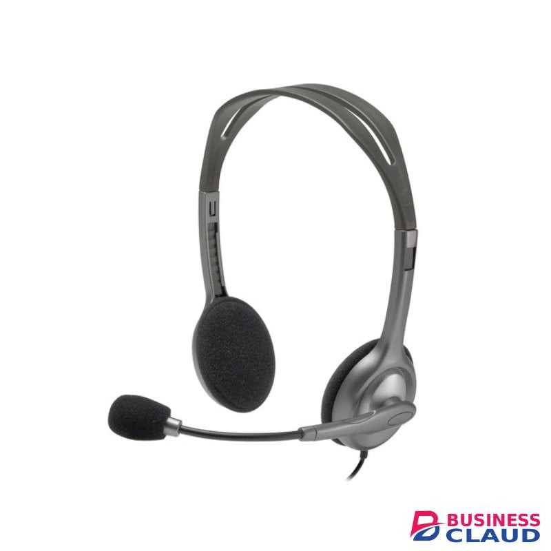 Logitech H110