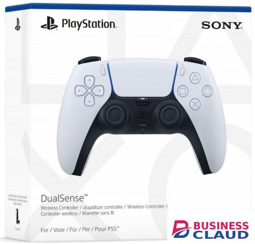 PS5 Controller