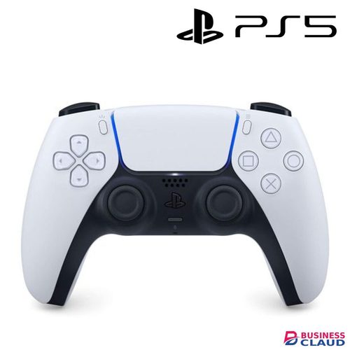 PS5 Controller