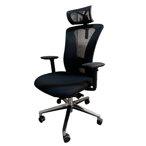 Ergonomics black orthopedic executive office chair