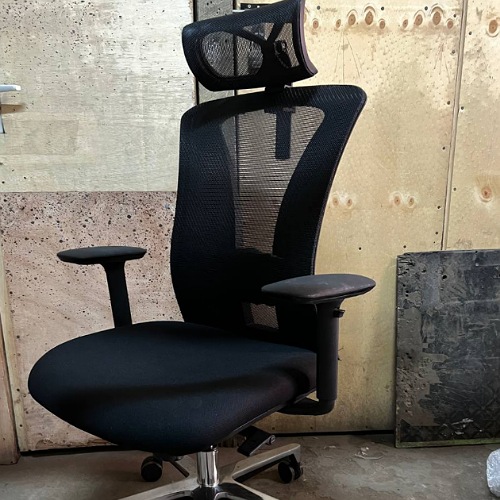 Ergonomics black orthopedic executive office chair