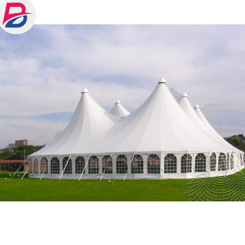 1000-Seater Mega Dome Tent in Kenya