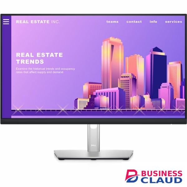 DELL 24 Inch FHD Monitor