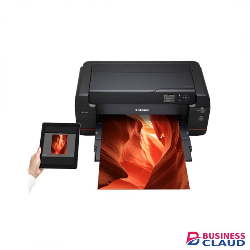 Canon ImagePROGRAF PRO-1000 17″ Professional Photographic Inkjet Printer
