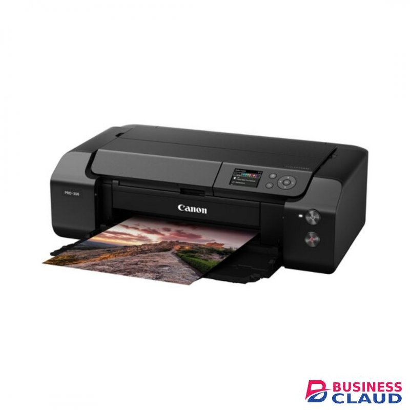 Canon ImagePROGRAF PRO-300 13" Professional Photographic Inkjet Printer