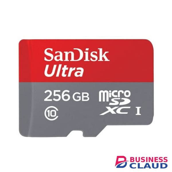SanDisk MicroSD CLASS 10 80MBPS 256GB