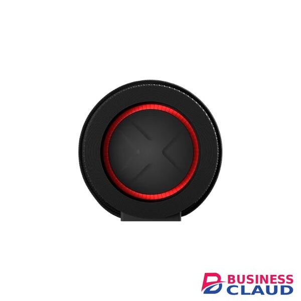 LG xBoom Grab Portable Bluetooth Speaker with 30W