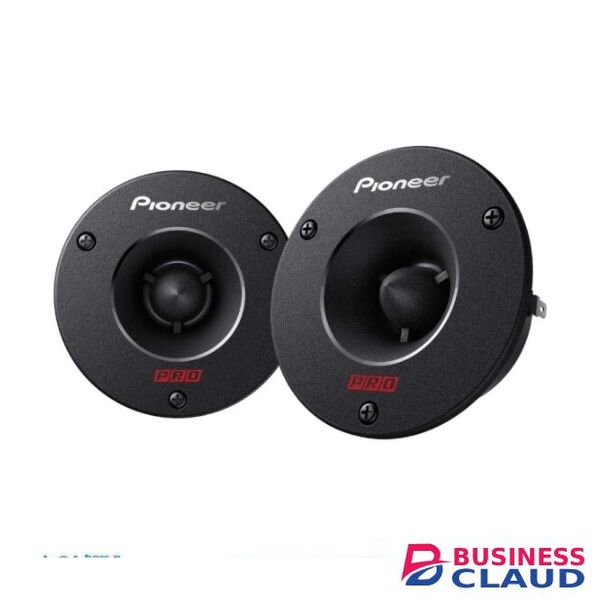 Pioneer TS-B1010PRO 10" Car Tweeter Speaker