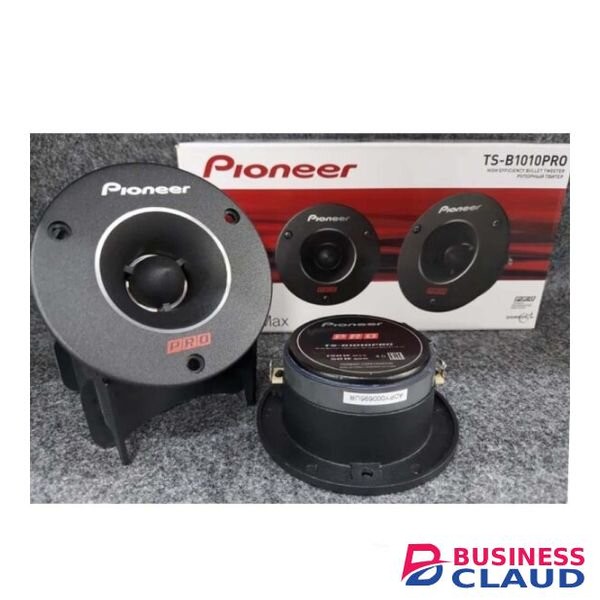 Pioneer TS-B1010PRO 10" Car Tweeter Speaker