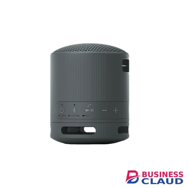 Sony SRS-XB100 Bluetooth Speaker: Big Sound In A Small Package
