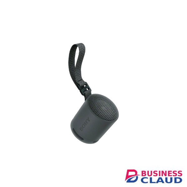 Sony SRS-XB100 Bluetooth Speaker: Big Sound In A Small Package