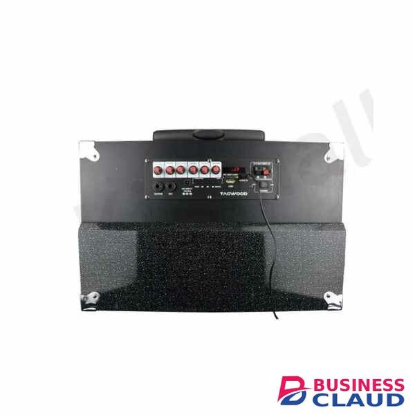 TAGWOOD LTS-15A Outdoor Speaker With Bluetooth,FM Radio, 15000w Pmpo