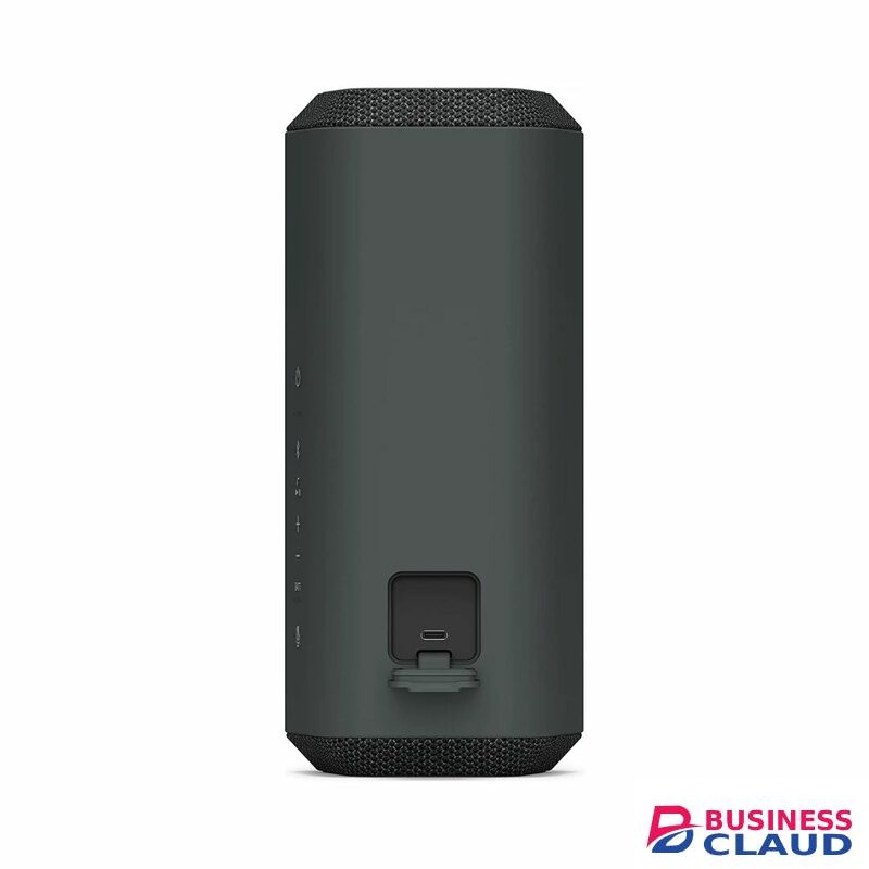 Sony SRS-XE300 X
