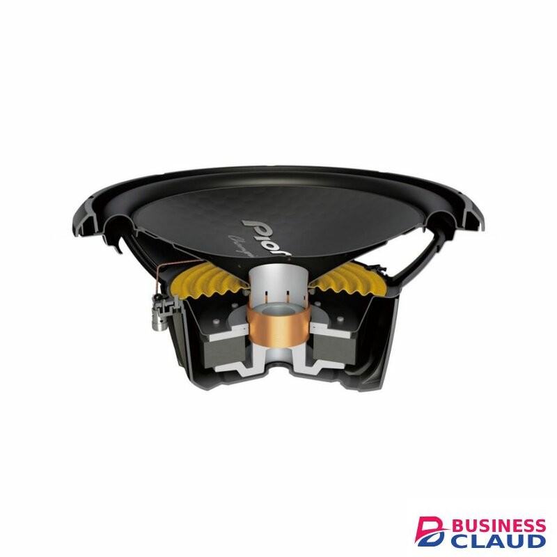 Pioneer Subwoofer Ts