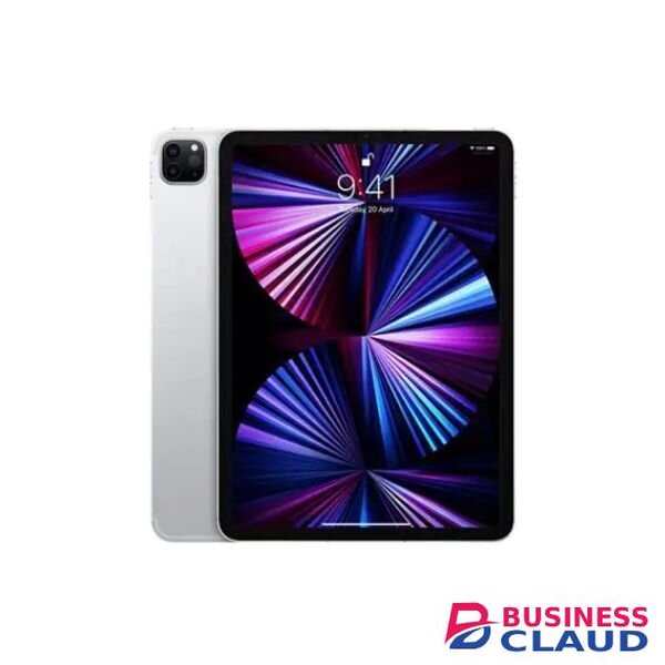 Apple IPad Pro 11 Inch 512GB M4 WiFi Cellular