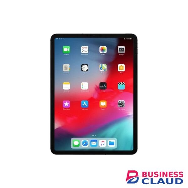 Apple iPad Pro 11 Inch 256GB M4 WiFi Only