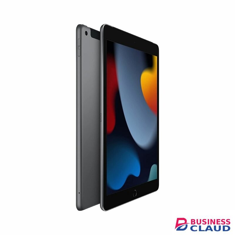 Apple IPad 9th Gen 10.2" (2021) Wi-Fi + Cellular Tablet , 256GB