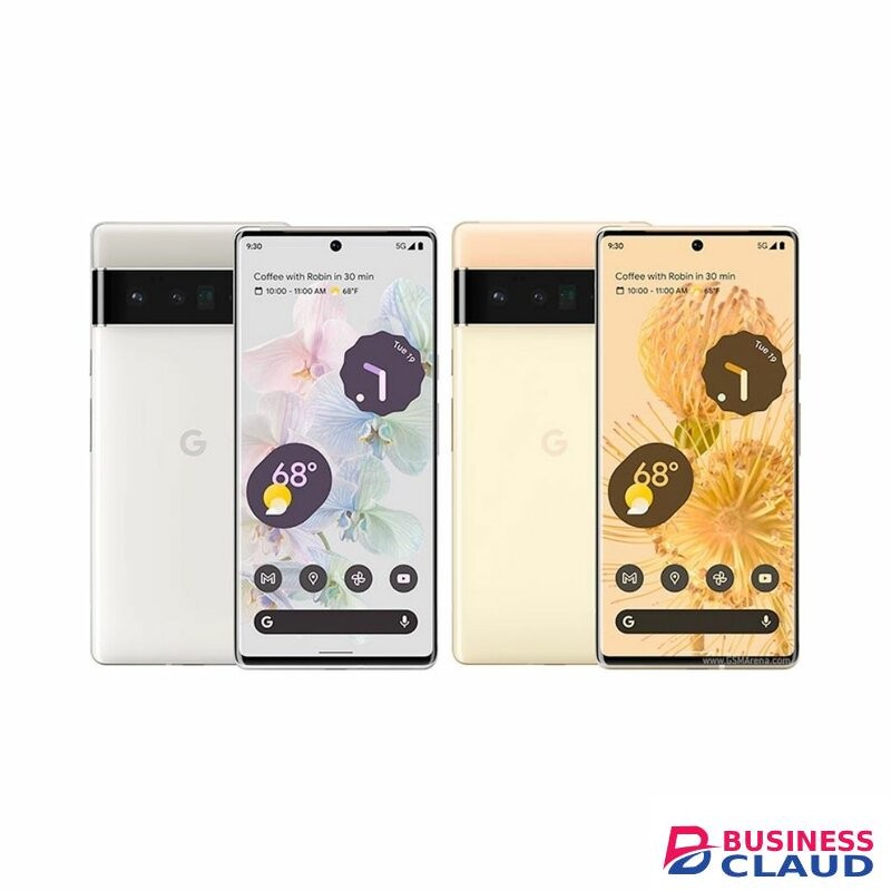 Google Pixel 6 Pro 6.71" Dual