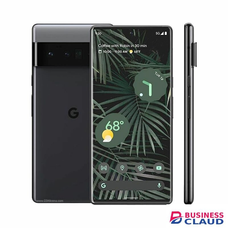 Google Pixel 6 Pro 6.71" Dual