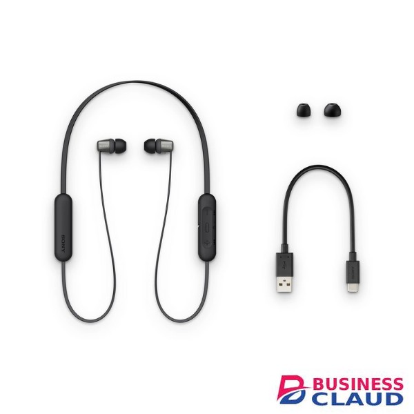 Sony Earphones WI-C310 (WH-C310)