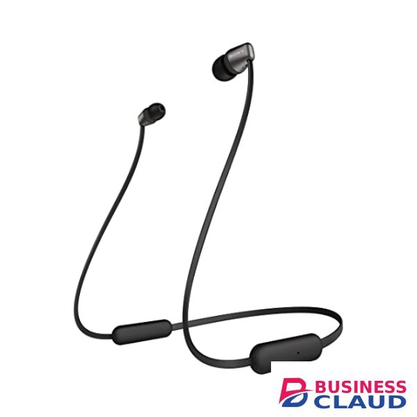 Sony Earphones WI-C310 (WH-C310)
